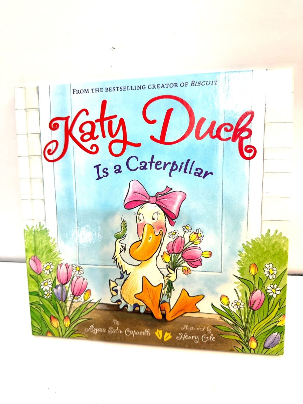 Katy Duck Is a Caterpillar Children’s Book Kid Story Hardcover
